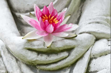 Mains bouddha et fleur